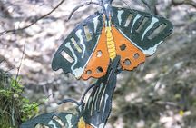 Full Day Butterflies and Boat Tour to Chalki Island