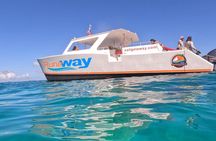 Public All-Inclusive Icacos Power Catamaran Snorkel And Beach 