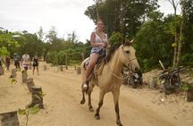 Horseback riding along Macao beach from Punta Cana