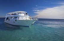 Scuba Diving Experience for Beginners & Lunch - Sharm El Sheikh