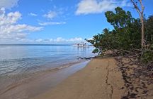 All-Inclusive Vieques: Swim with Turtles, Pristine Beaches Await!
