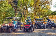 Guided Tour to Altamira by ATV or UTV