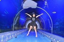 Museum Grand Aquarium from Hurghada