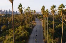 Eastside Express by luxury e-bike: LA River Frogtown Go Dodgers!
