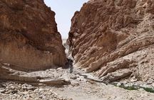 Private 2-Day Excursion Tozeur from Djerba and Zarzis