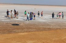 Private 2-Day Excursion Tozeur from Djerba and Zarzis