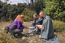 Full Day in Middle Earth - Lord of the Rings Tour