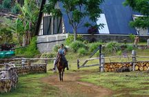  Private Horseback Riding on Easter Island