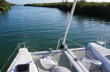 Private Luxury Catamaran Tour to Stingray City and Snorkel 