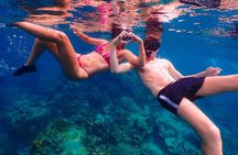 5 Islands Full-Day Tour Around Koh Tao and Koh Nangyuan