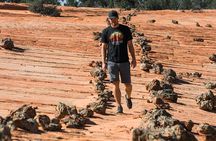 East Zion Outback UTV Tour with Licensed Guide