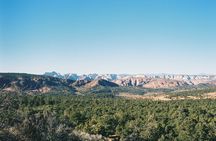 East Zion Outback UTV Tour with Licensed Guide