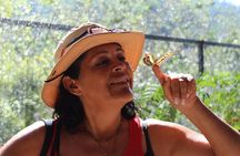 city tour express; Butterflies, Tequila & Snorkel at Arches
