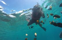 Bali : Blue Lagoon Snorkeling - All inclusive