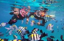 Bali : Blue Lagoon Snorkeling - All inclusive