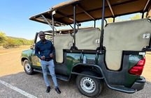 3 Hour Pilanesberg Open Vehicle Safari from Johannesburg