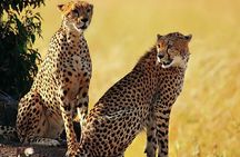 Unforgettable 5 days Tanzania Private Budget Camping safari