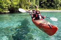 Kayak experience with refreshments.