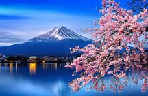 Cherry Blossom Mount Fuji Customizable Luxury vehicle Guided Tour
