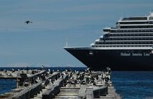 Private Punta Arenas Pioneers and Palacios City Tour