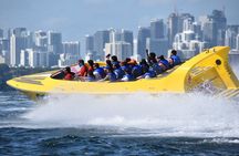 Sightseeing Speed Boat Thrill Ride with Miami Watersports