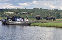 A Chobe Full Day Tour - Botwana 