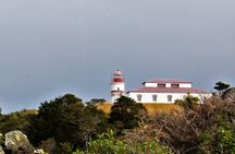 Seaside Hike to Faro San Isidro