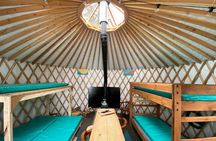 Multi Day Tour in Alaska Glamping and Kayaking