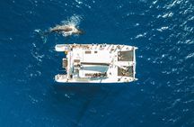 West Maui Snorkel & Sail from Ma'alaea Harbor