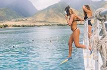 Lahaina Maui Sea Turtle Snorkel Sail Adventure w/Lunch & Open Bar