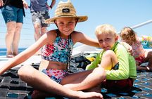 Lahaina Maui Sea Turtle Snorkel Sail Adventure w/Lunch & Open Bar