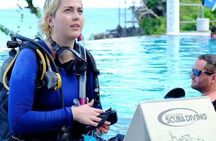 From Phi Phi: Half Day Discover Scuba (2 Dives)