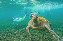 Koh Tao: SunSet Magic Snorkeling Day Trip Tao & Nangyuan w/ Meals
