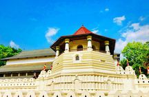 4 Days Private Tour In Sri Lanka 