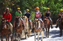 Punta Cana Horse Riding for Beaches in Field