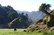 Stunning Views Wonchi Crater Lake a Private Day Trip