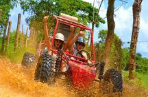 The best excursions from Punta Cana, Buggies,Saona,and much more