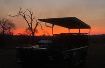 Safari Game Drive in Private Reserve out of Hoedspruit