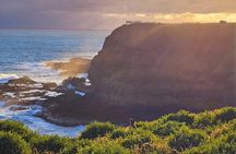 Golden Hour Penguins Express Tour with Pickups on Phillip Island