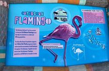 Flamingo March & Pirates Adventure Tour Nassau
