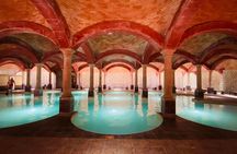 Tour to "Termas de San Joaquin", with transfer and tickets