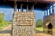 Full Day Private Yala Safari Trip with Lunch