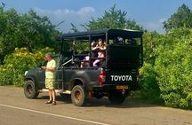 Full Day Private Yala Safari Trip with Lunch