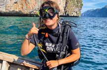 From Phi Phi: Half Day Trip for Certified Divers (2 Dives)