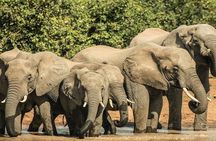 Unforgettable 5 days Tanzania Private Budget Camping safari