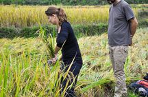 4-Day Jungle Trekking in Ba Be National Park