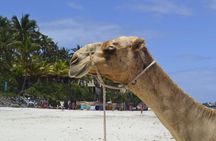 PRIVATE: MOMBASA FULL DAY TOUR and EXCURSUION