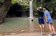 Ubud Rice Terrace, water Temple and Waterfalls Private tour 