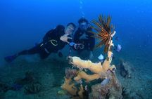 Scuba Diving Experience in Nha Trang Bay 