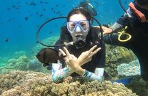  Scuba Diving Experience in Nha Trang Bay 